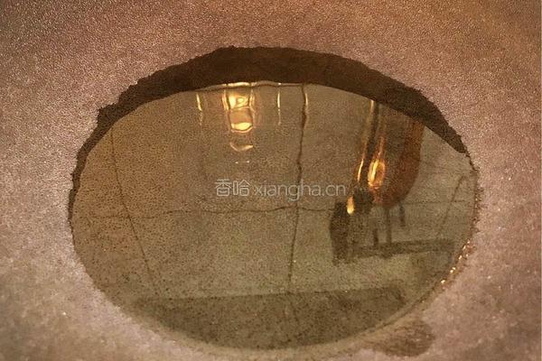 胭脂萝卜牛肉汤的做法图解4