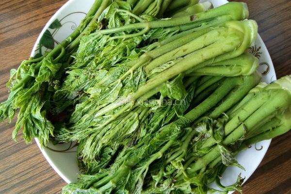 刺老芽炒鸡蛋的做法图解5