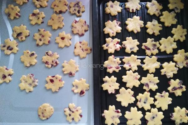 蔓越莓饼干的做法图解7