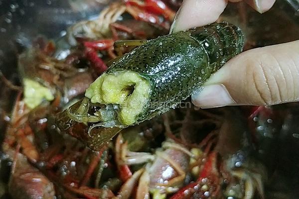 麻辣小龙虾的做法图解3