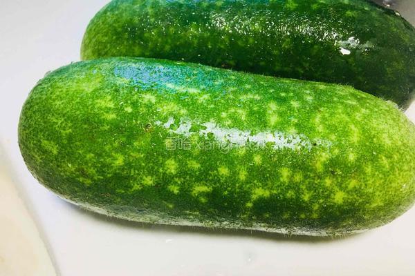 鲜味小海虾焖节瓜的做法图解2