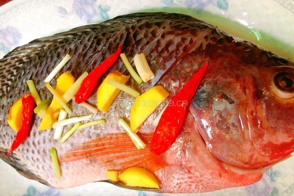 清蒸非洲鲫鱼（清蒸罗非鱼）的做法图解4