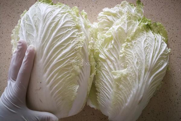 朝鲜族姑娘的地道辣白菜的做法图解1