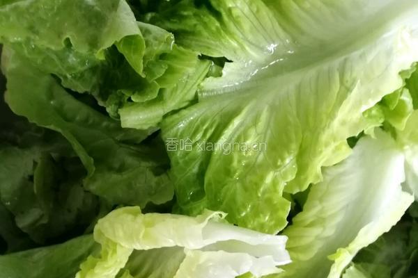 蚝油生菜的做法图解1