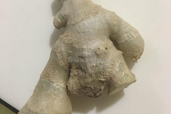 乌鸡滋补汤的做法图解9