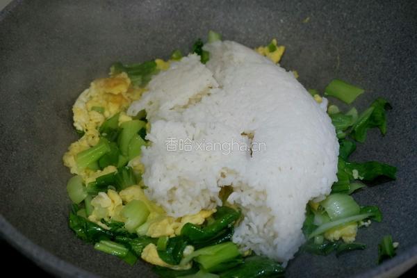 酱油菜饭的做法图解9