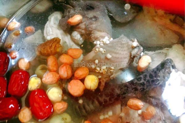 薏米花生炖鸡(美容养颜汤）的做法图解5
