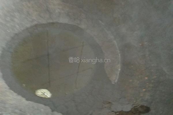 凉拌黄瓜的做法图解9