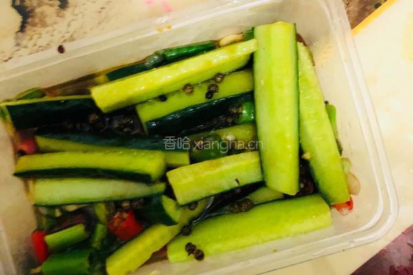 麻辣黄瓜的做法图解3
