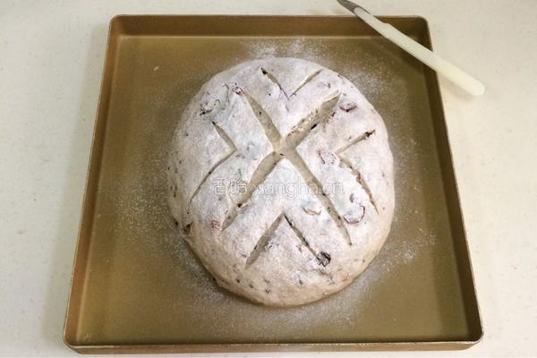 燕麦蜂蜜软欧包的做法图解12
