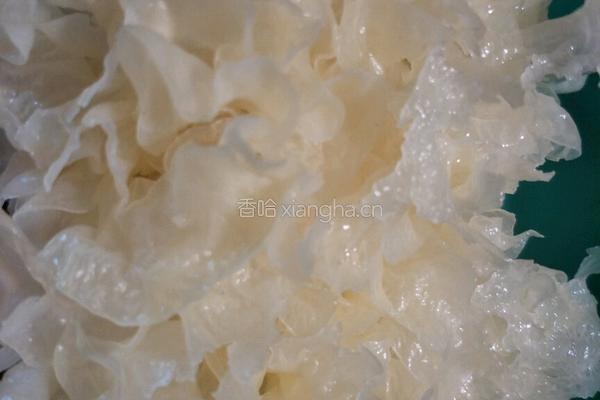 银耳红枣汤的做法图解1