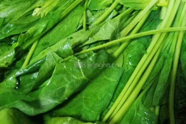 菠菜花生米的做法图解2