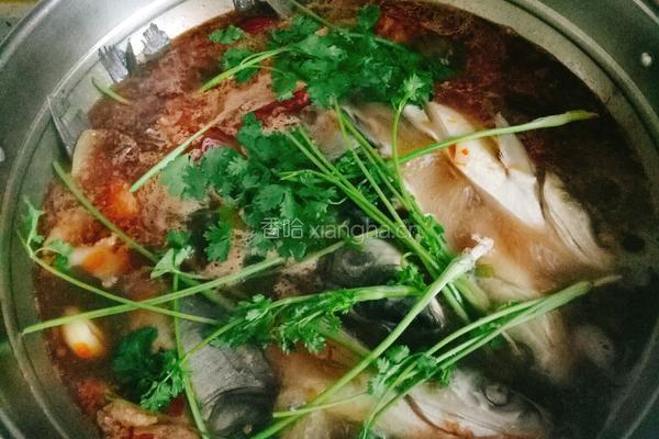 鲢鱼炖豆腐的做法图解10