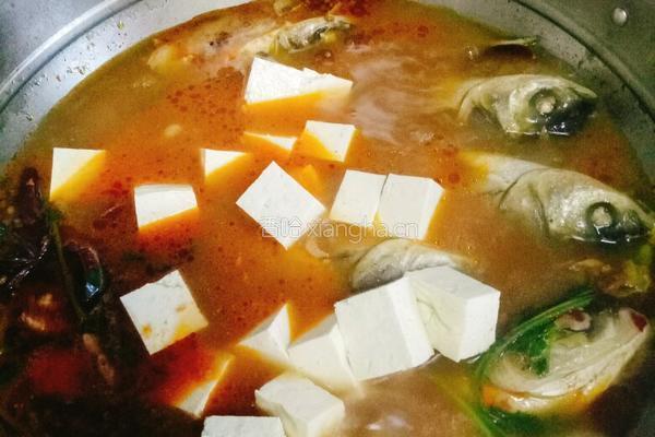 鲢鱼炖豆腐的做法图解11