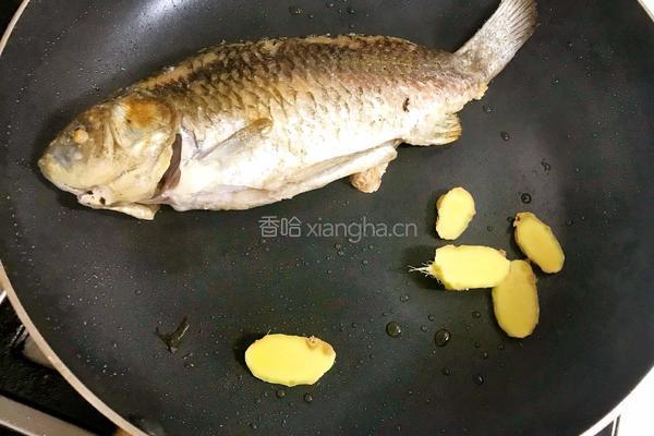 无刺鲫鱼豆腐汤的做法图解6