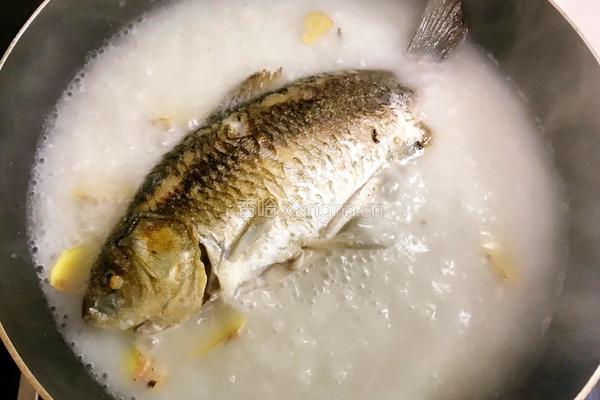 无刺鲫鱼豆腐汤的做法图解9