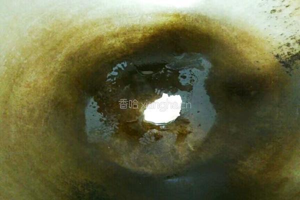番茄鸡蛋粉丝的做法图解8
