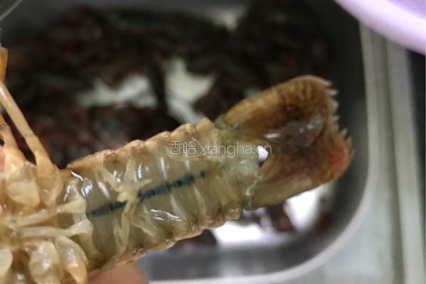 麻辣小龙虾的做法图解3