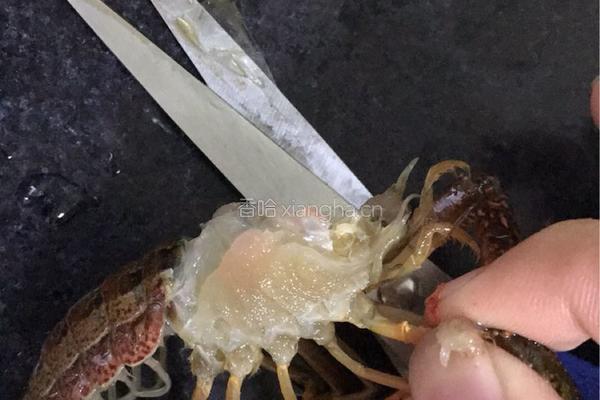 麻辣小龙虾的做法图解2