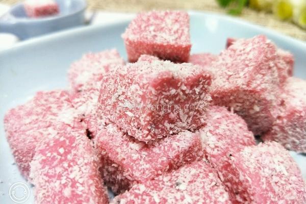 火龙果椰蓉奶冻的做法图解9