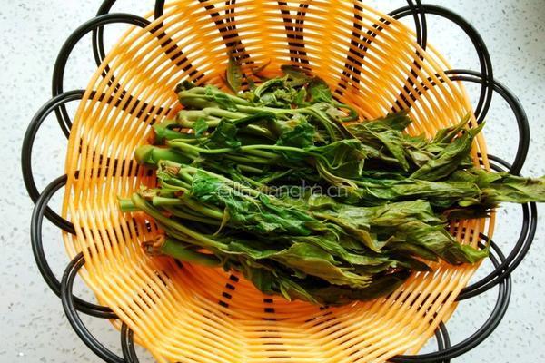 炸香椿鱼儿的做法图解4