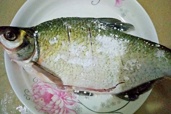 红烧鳊鱼的做法图解4