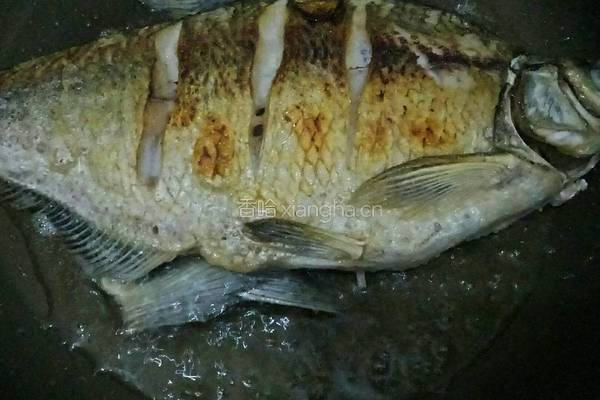 红烧鳊鱼的做法图解5