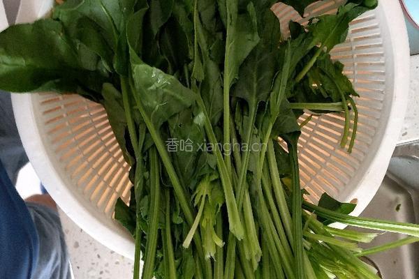 菠菜团子的做法图解1
