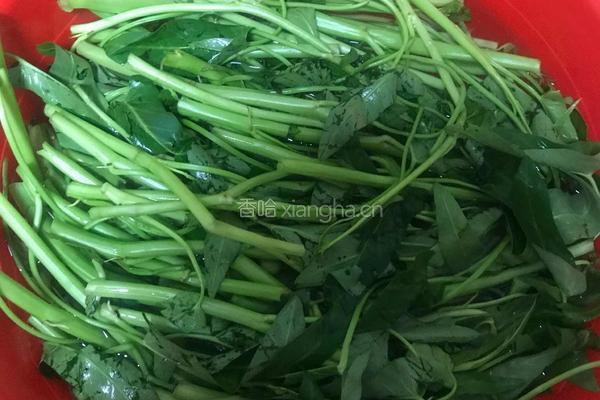 老友空心菜的做法图解1