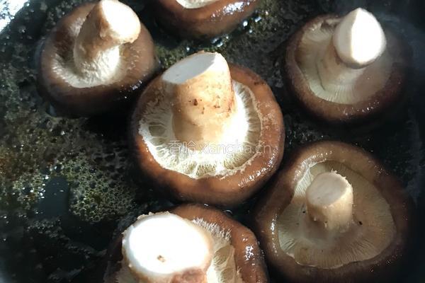 蚝油香菇酿肉片的做法图解4