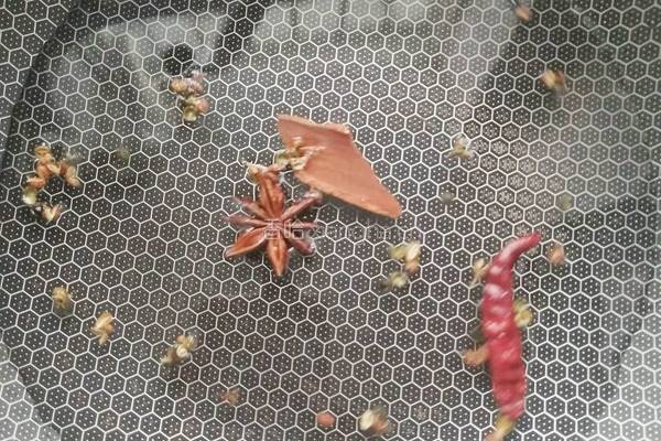 卤水花生的做法图解3