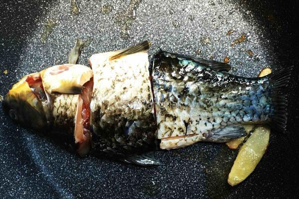 木瓜魚湯的做法图解4