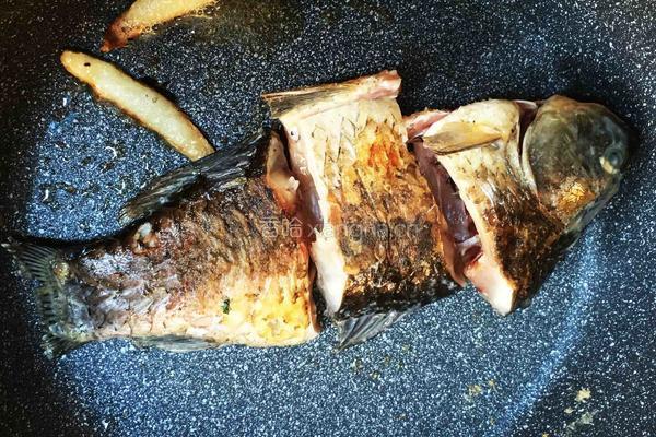 木瓜魚湯的做法图解5