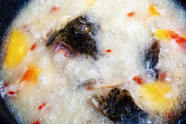 木瓜魚湯的做法图解9