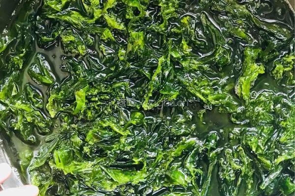 海菜馅蒸饺的做法图解2