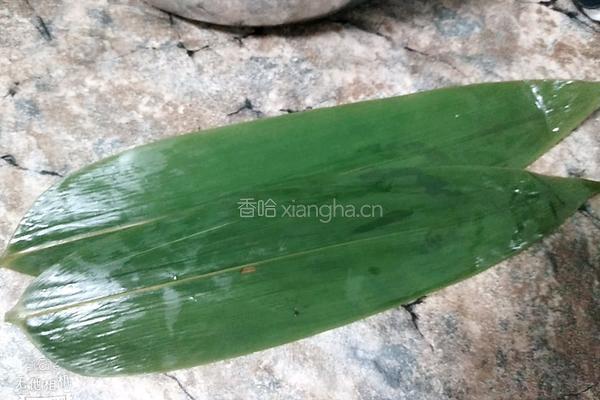 家乡牛角粽的做法图解19