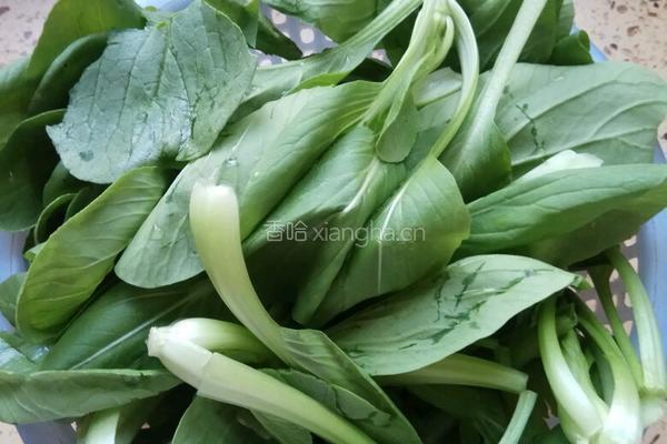 香菇虾米青菜的做法图解3