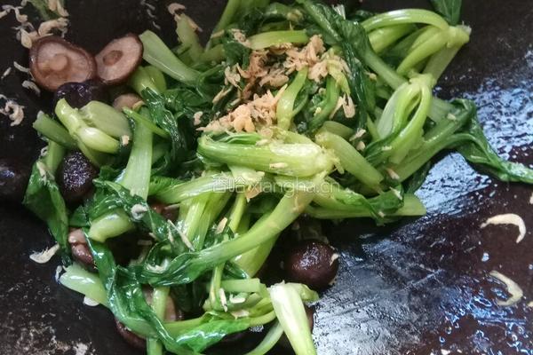 香菇虾米青菜的做法图解7