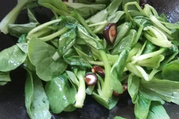 香菇虾米青菜的做法图解6