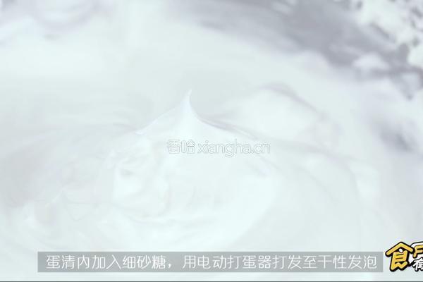 轻芝士乳酪蛋糕的做法图解8