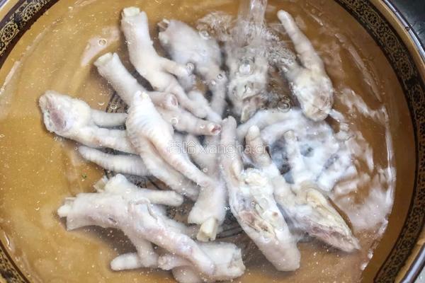凉拌鸡爪的做法图解4