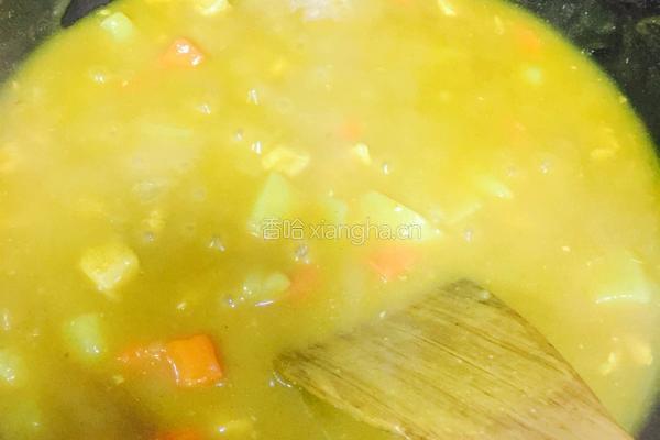 咖喱土豆鸡肉的做法图解7