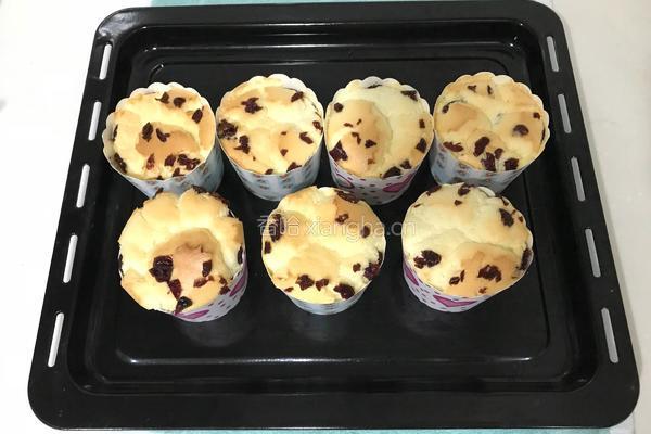 蔓越莓杯子蛋糕的做法图解18