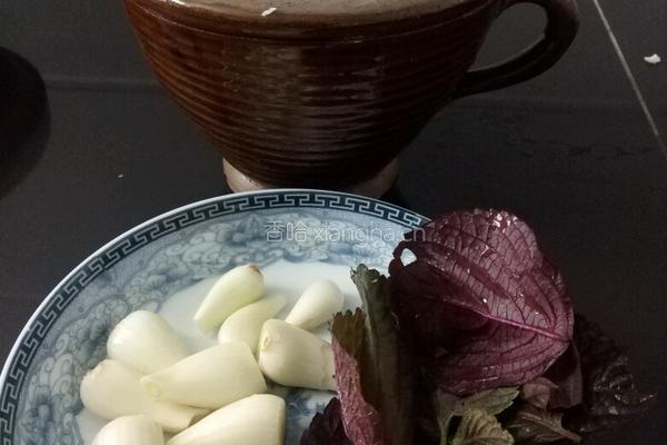 紫苏叶擂野蒜头的做法图解1