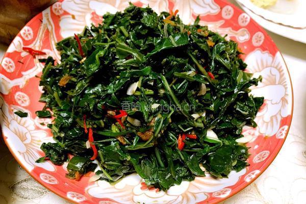 凉拌苦苦菜