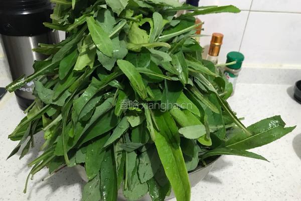 凉拌苦苦菜的做法图解3