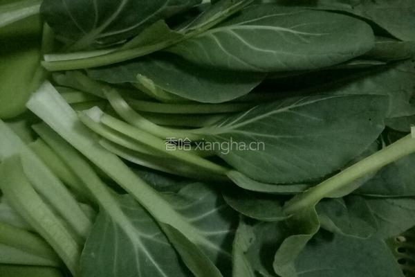 西红柿炒面的做法图解3