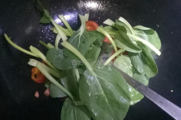 西红柿炒面的做法图解6