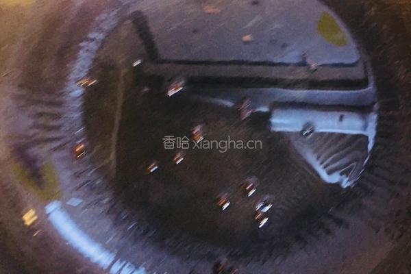响油黄瓜的做法图解8