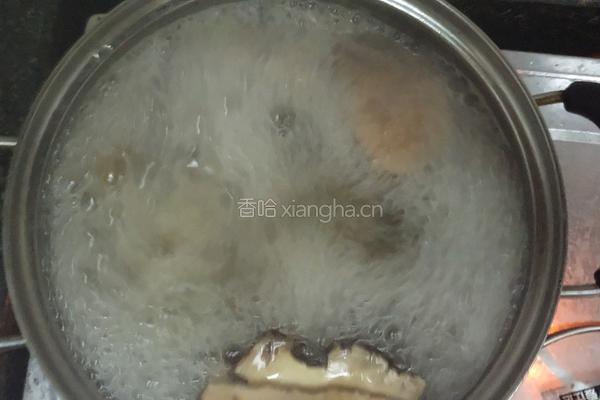 五指毛桃土茯苓猪腱汤的做法图解3